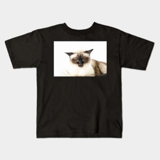 Katze Siam / Swiss Artwork Photography Kids T-Shirt